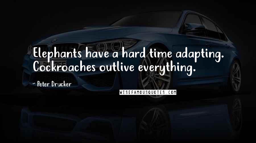 Peter Drucker Quotes: Elephants have a hard time adapting. Cockroaches outlive everything.