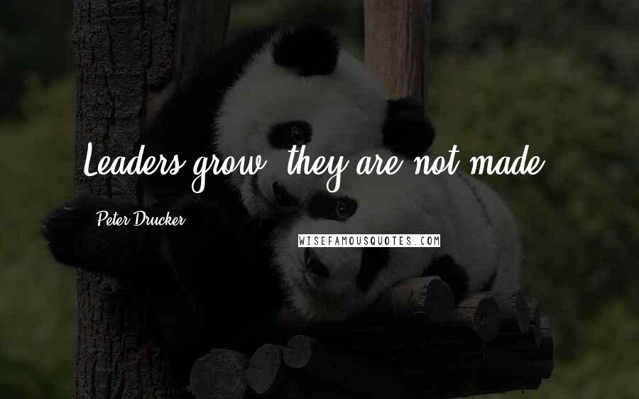 Peter Drucker Quotes: Leaders grow; they are not made.