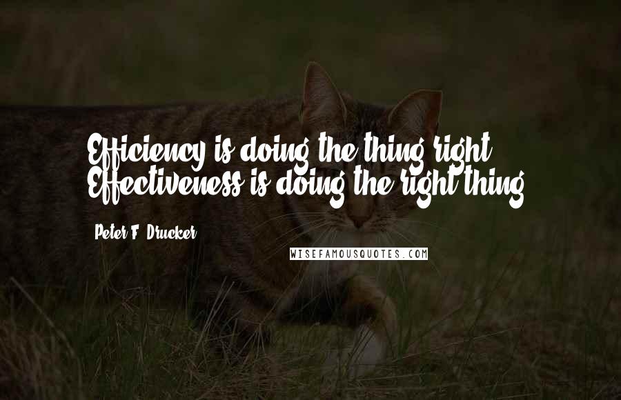 Peter F. Drucker Quotes: Efficiency is doing the thing right. Effectiveness is doing the right thing.