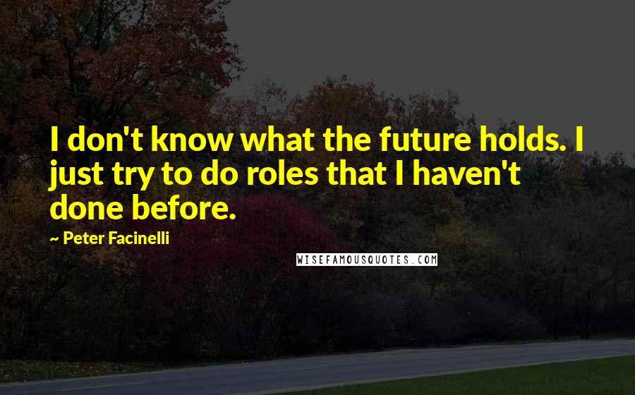 Peter Facinelli Quotes: I don't know what the future holds. I just try to do roles that I haven't done before.