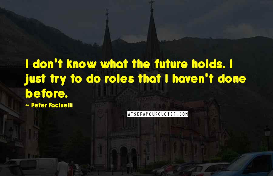 Peter Facinelli Quotes: I don't know what the future holds. I just try to do roles that I haven't done before.