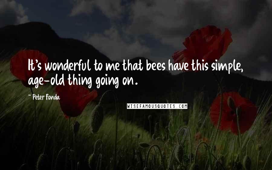 Peter Fonda Quotes: It's wonderful to me that bees have this simple, age-old thing going on.