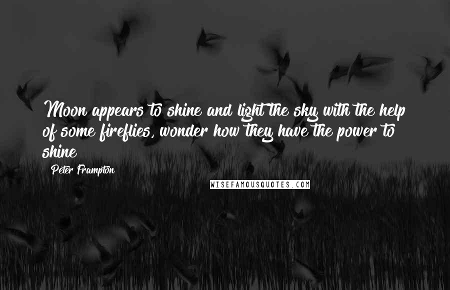 Peter Frampton Quotes: Moon appears to shine and light the sky with the help of some fireflies, wonder how they have the power to shine?