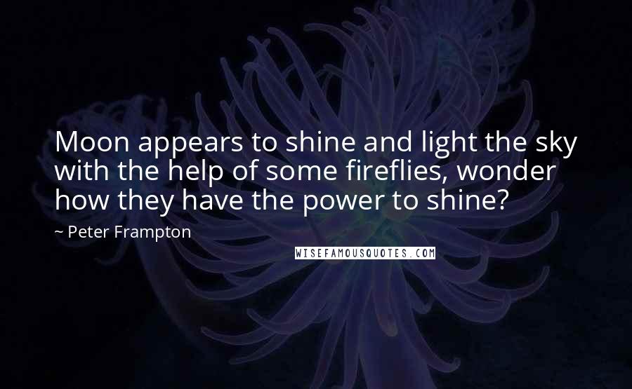 Peter Frampton Quotes: Moon appears to shine and light the sky with the help of some fireflies, wonder how they have the power to shine?