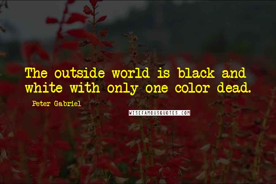 Peter Gabriel Quotes: The outside world is black and white with only one color dead.