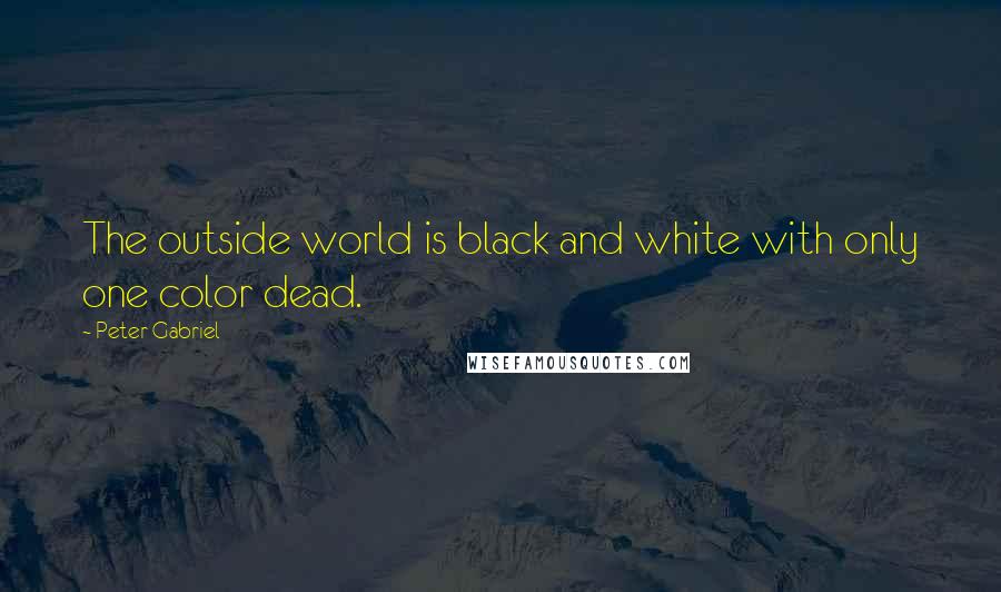 Peter Gabriel Quotes: The outside world is black and white with only one color dead.