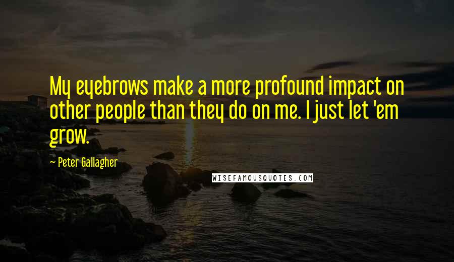 Peter Gallagher Quotes: My eyebrows make a more profound impact on other people than they do on me. I just let 'em grow.