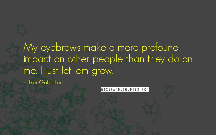 Peter Gallagher Quotes: My eyebrows make a more profound impact on other people than they do on me. I just let 'em grow.