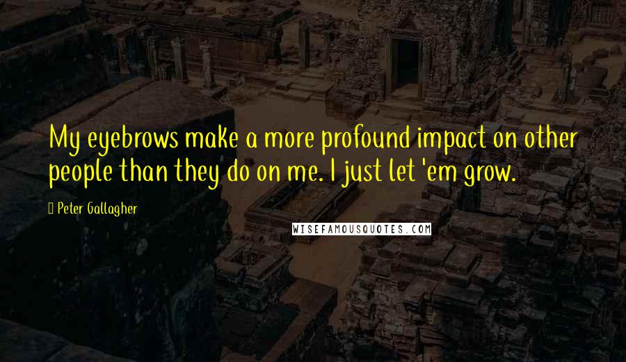 Peter Gallagher Quotes: My eyebrows make a more profound impact on other people than they do on me. I just let 'em grow.