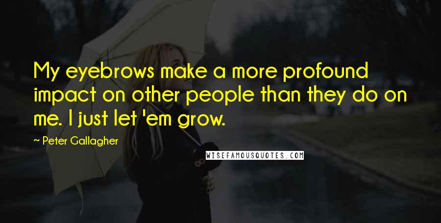 Peter Gallagher Quotes: My eyebrows make a more profound impact on other people than they do on me. I just let 'em grow.