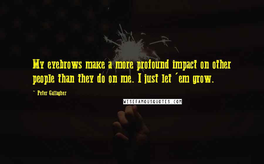 Peter Gallagher Quotes: My eyebrows make a more profound impact on other people than they do on me. I just let 'em grow.