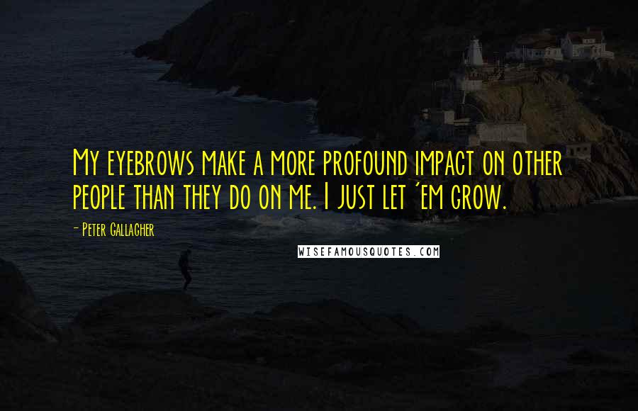 Peter Gallagher Quotes: My eyebrows make a more profound impact on other people than they do on me. I just let 'em grow.