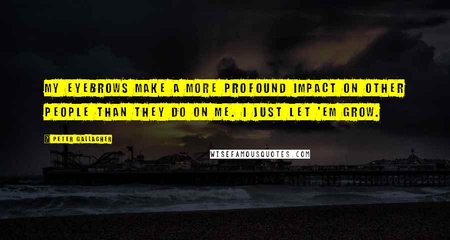 Peter Gallagher Quotes: My eyebrows make a more profound impact on other people than they do on me. I just let 'em grow.