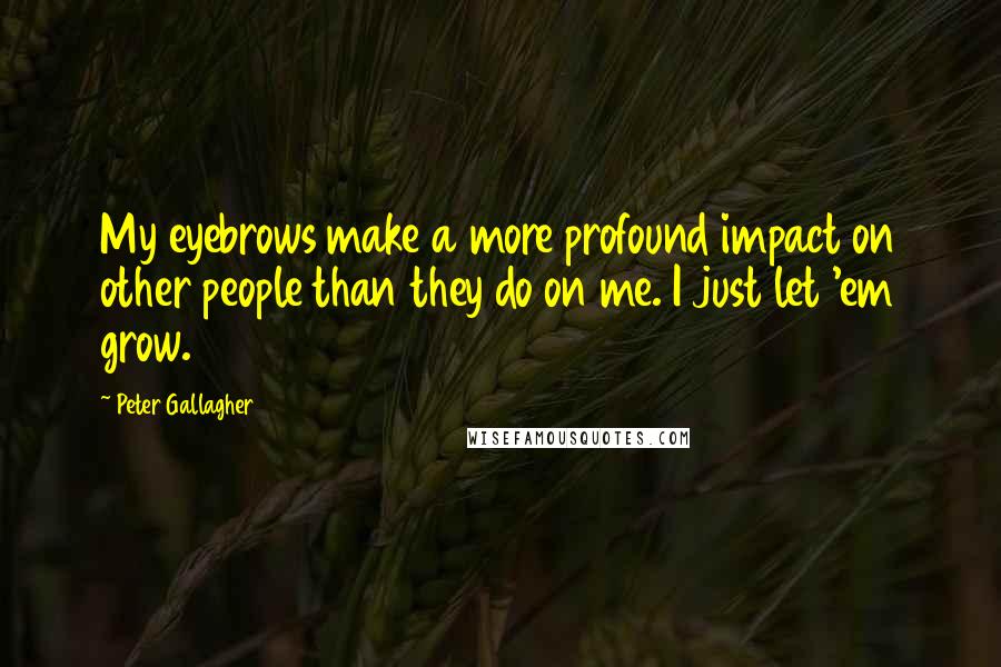 Peter Gallagher Quotes: My eyebrows make a more profound impact on other people than they do on me. I just let 'em grow.
