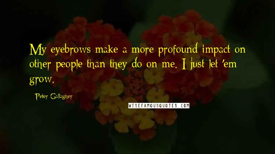 Peter Gallagher Quotes: My eyebrows make a more profound impact on other people than they do on me. I just let 'em grow.