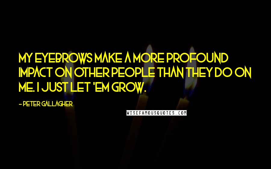 Peter Gallagher Quotes: My eyebrows make a more profound impact on other people than they do on me. I just let 'em grow.