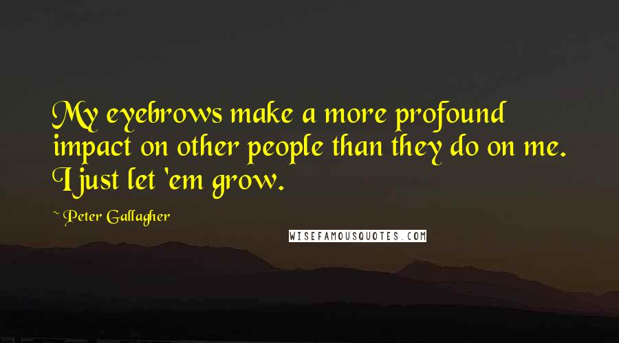 Peter Gallagher Quotes: My eyebrows make a more profound impact on other people than they do on me. I just let 'em grow.