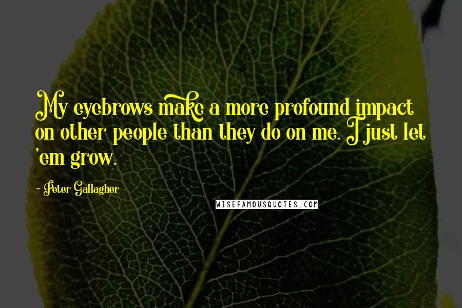 Peter Gallagher Quotes: My eyebrows make a more profound impact on other people than they do on me. I just let 'em grow.