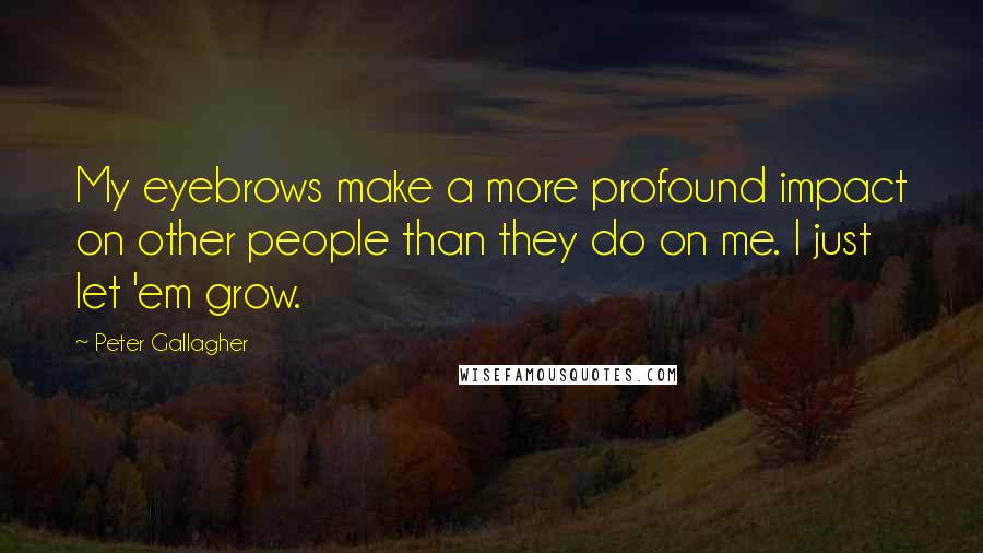 Peter Gallagher Quotes: My eyebrows make a more profound impact on other people than they do on me. I just let 'em grow.