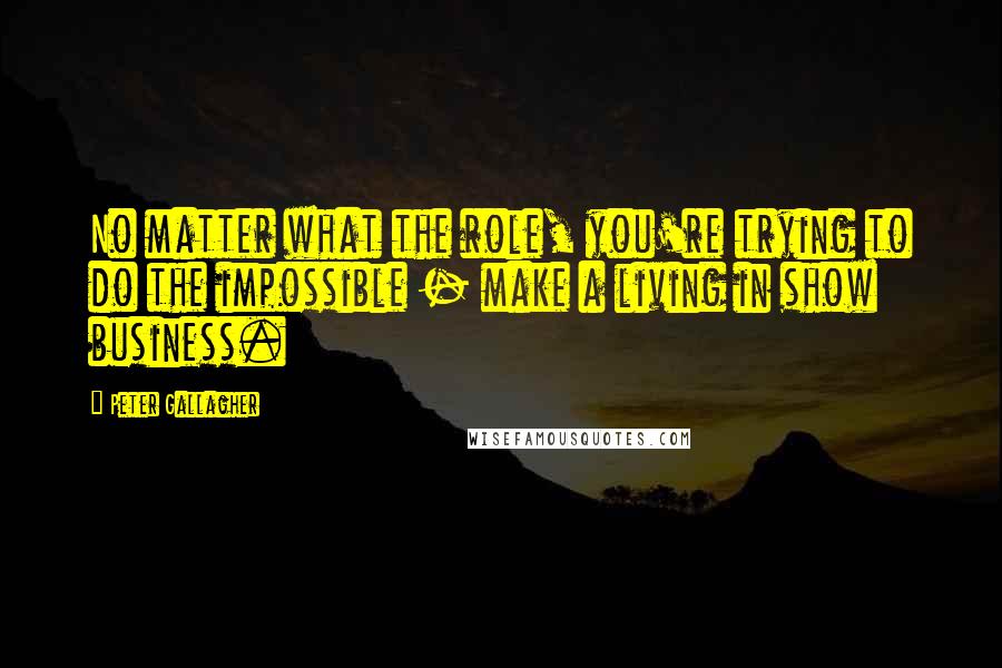 Peter Gallagher Quotes: No matter what the role, you're trying to do the impossible - make a living in show business.
