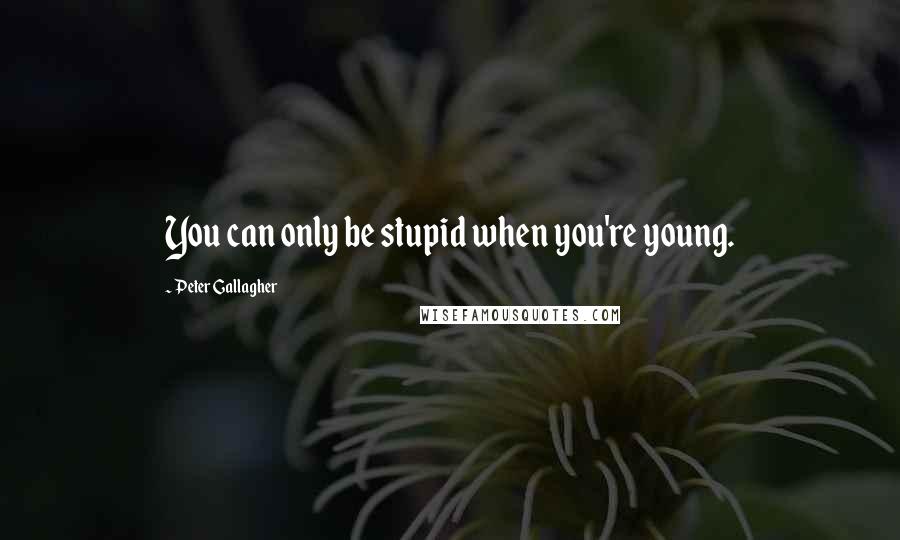 Peter Gallagher Quotes: You can only be stupid when you're young.