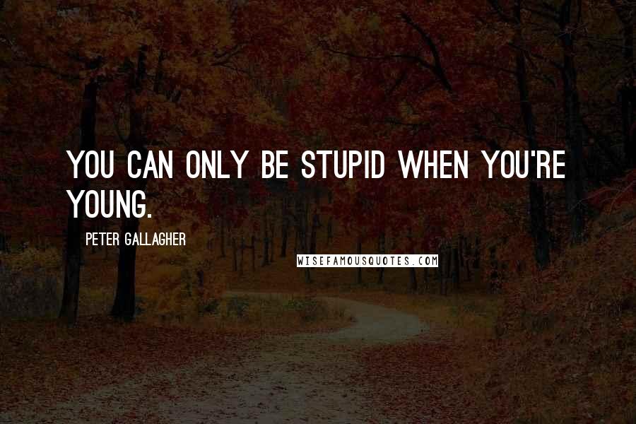Peter Gallagher Quotes: You can only be stupid when you're young.