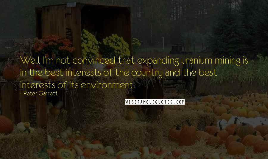 Peter Garrett Quotes: Well I'm not convinced that expanding uranium mining is in the best interests of the country and the best interests of its environment.