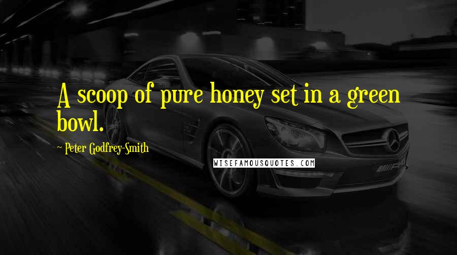 Peter Godfrey-Smith Quotes: A scoop of pure honey set in a green bowl.