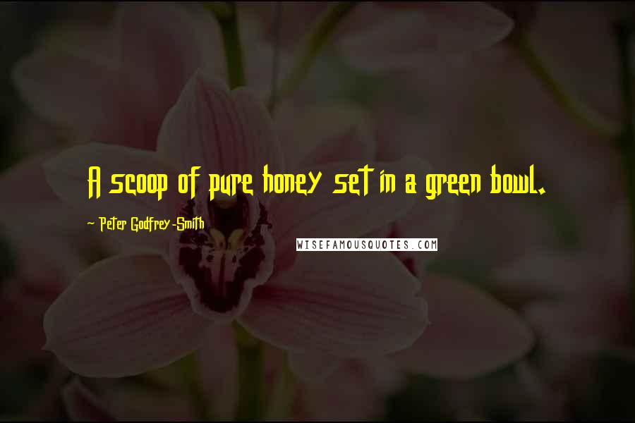 Peter Godfrey-Smith Quotes: A scoop of pure honey set in a green bowl.