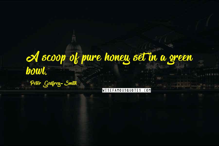 Peter Godfrey-Smith Quotes: A scoop of pure honey set in a green bowl.