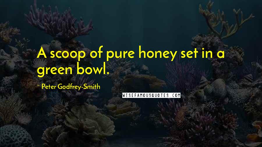 Peter Godfrey-Smith Quotes: A scoop of pure honey set in a green bowl.