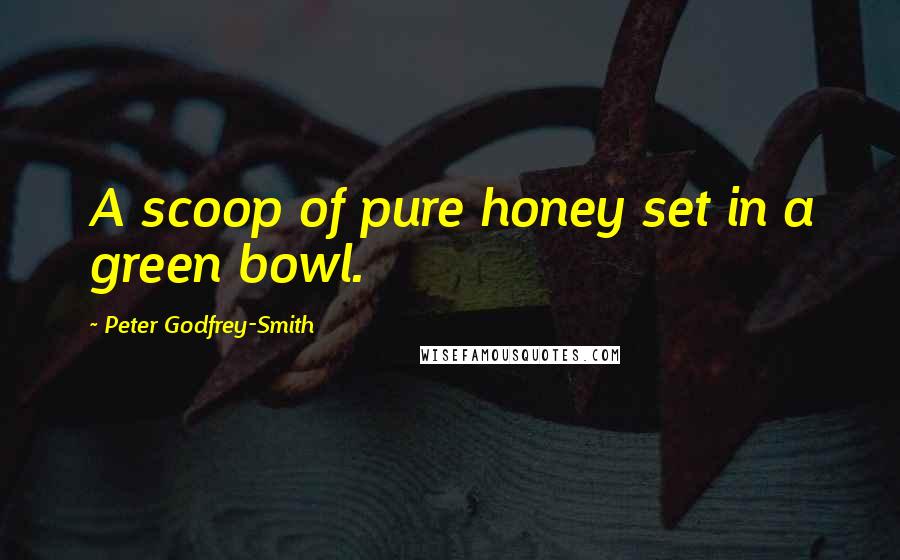 Peter Godfrey-Smith Quotes: A scoop of pure honey set in a green bowl.