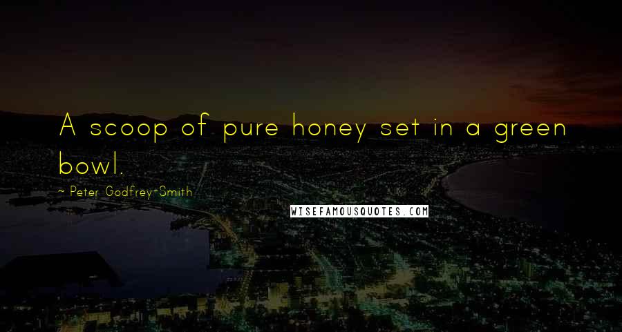 Peter Godfrey-Smith Quotes: A scoop of pure honey set in a green bowl.