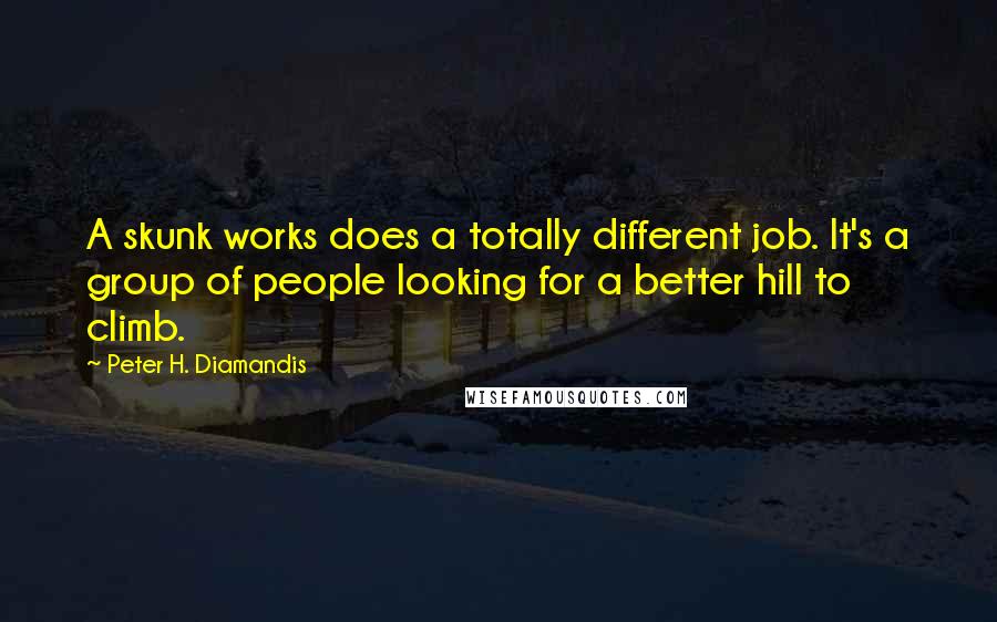 Peter H. Diamandis Quotes: A skunk works does a totally different job. It's a group of people looking for a better hill to climb.