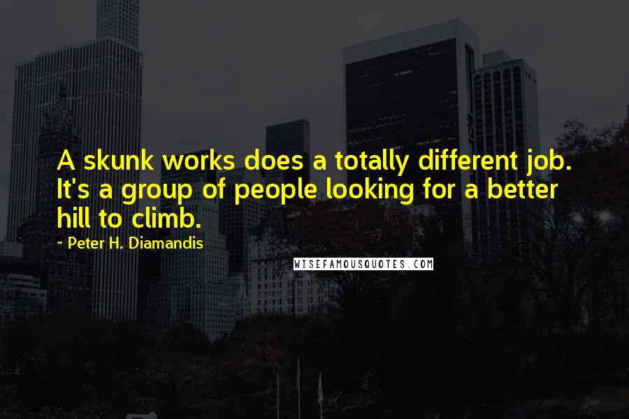 Peter H. Diamandis Quotes: A skunk works does a totally different job. It's a group of people looking for a better hill to climb.