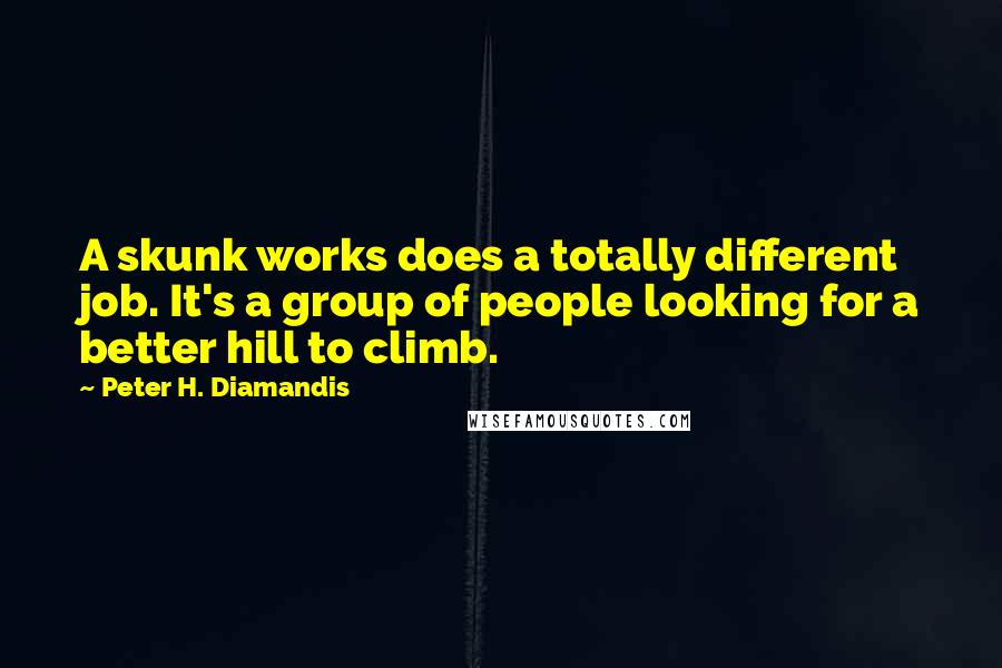 Peter H. Diamandis Quotes: A skunk works does a totally different job. It's a group of people looking for a better hill to climb.