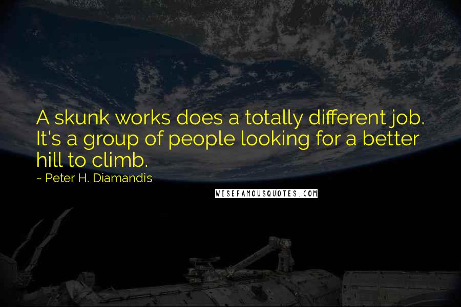 Peter H. Diamandis Quotes: A skunk works does a totally different job. It's a group of people looking for a better hill to climb.