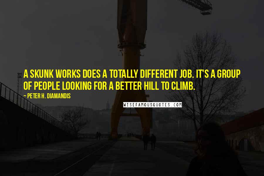 Peter H. Diamandis Quotes: A skunk works does a totally different job. It's a group of people looking for a better hill to climb.