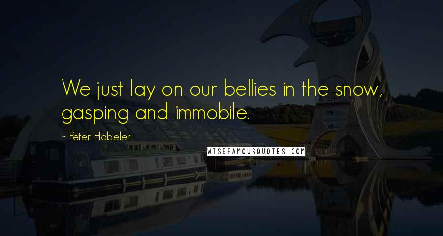 Peter Habeler Quotes: We just lay on our bellies in the snow, gasping and immobile.