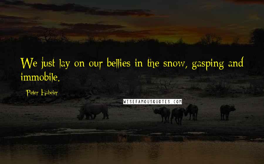 Peter Habeler Quotes: We just lay on our bellies in the snow, gasping and immobile.