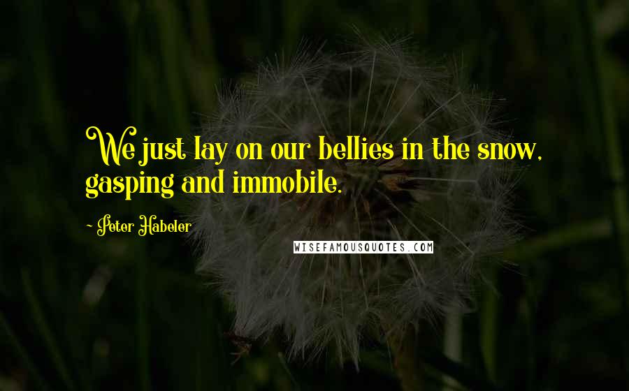 Peter Habeler Quotes: We just lay on our bellies in the snow, gasping and immobile.