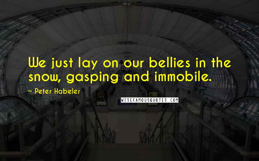 Peter Habeler Quotes: We just lay on our bellies in the snow, gasping and immobile.