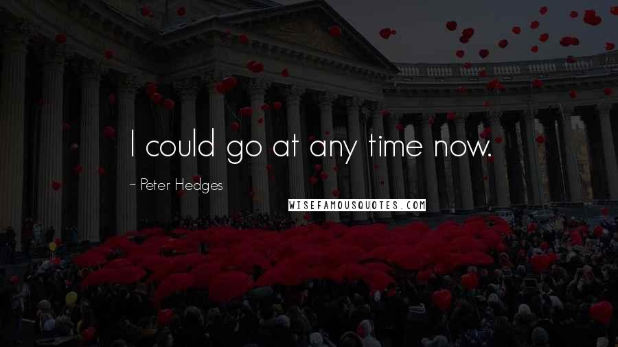 Peter Hedges Quotes: I could go at any time now.
