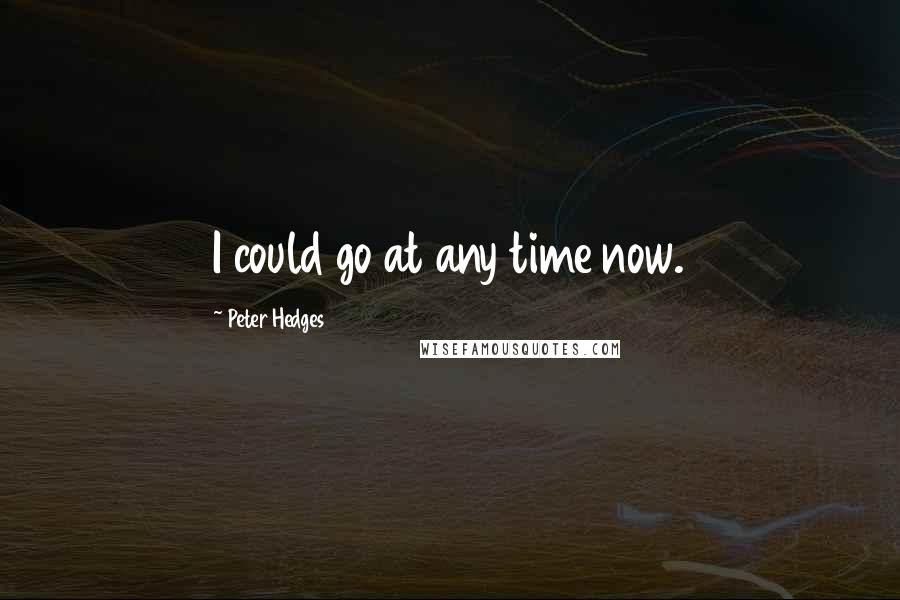 Peter Hedges Quotes: I could go at any time now.