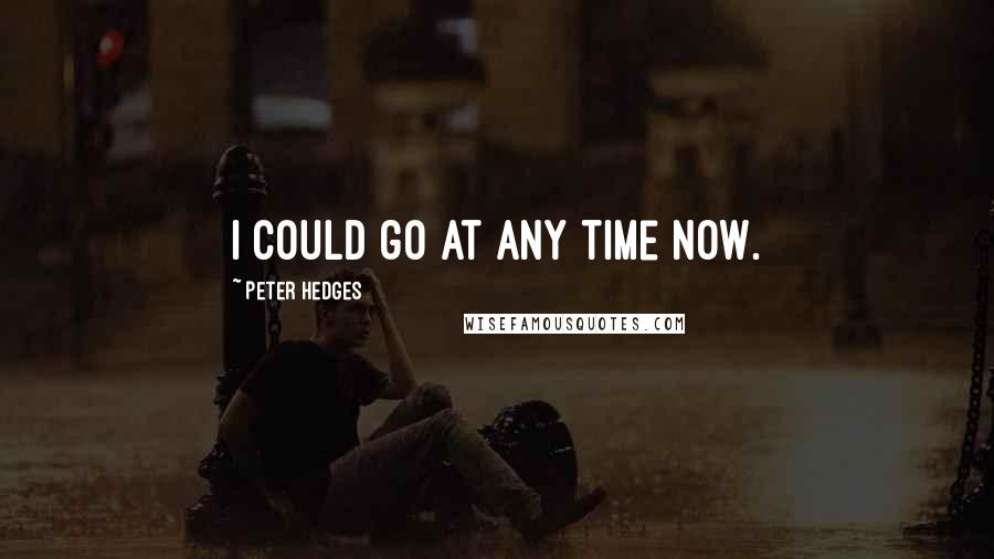 Peter Hedges Quotes: I could go at any time now.