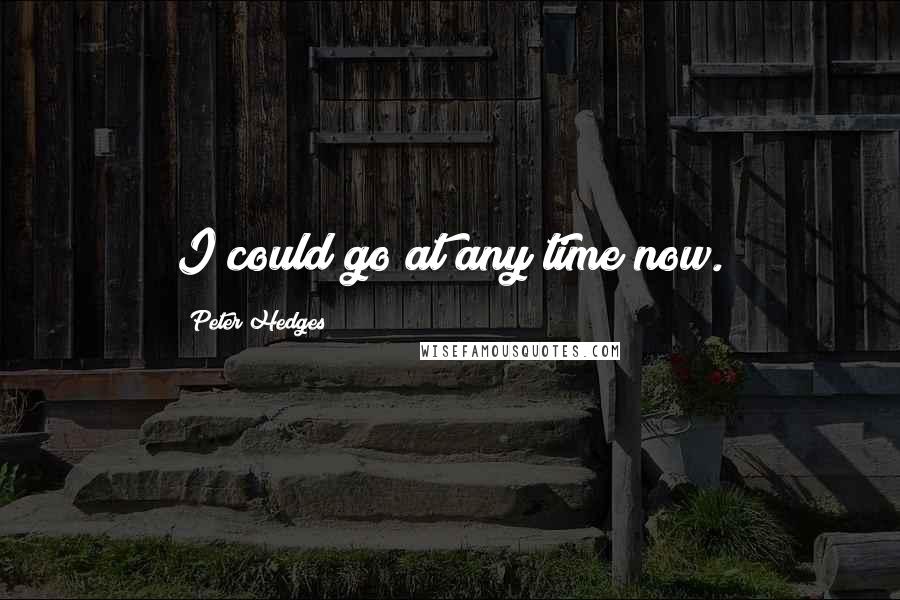 Peter Hedges Quotes: I could go at any time now.
