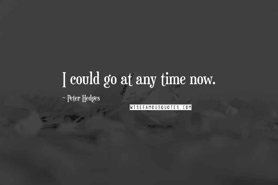 Peter Hedges Quotes: I could go at any time now.