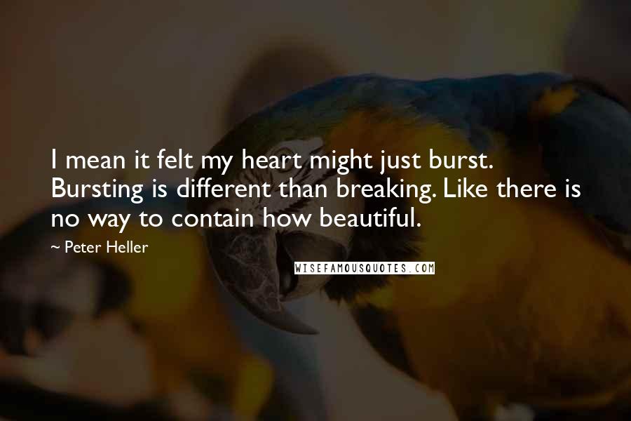 Peter Heller Quotes: I mean it felt my heart might just burst. Bursting is different than breaking. Like there is no way to contain how beautiful.