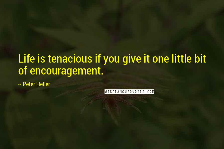 Peter Heller Quotes: Life is tenacious if you give it one little bit of encouragement.