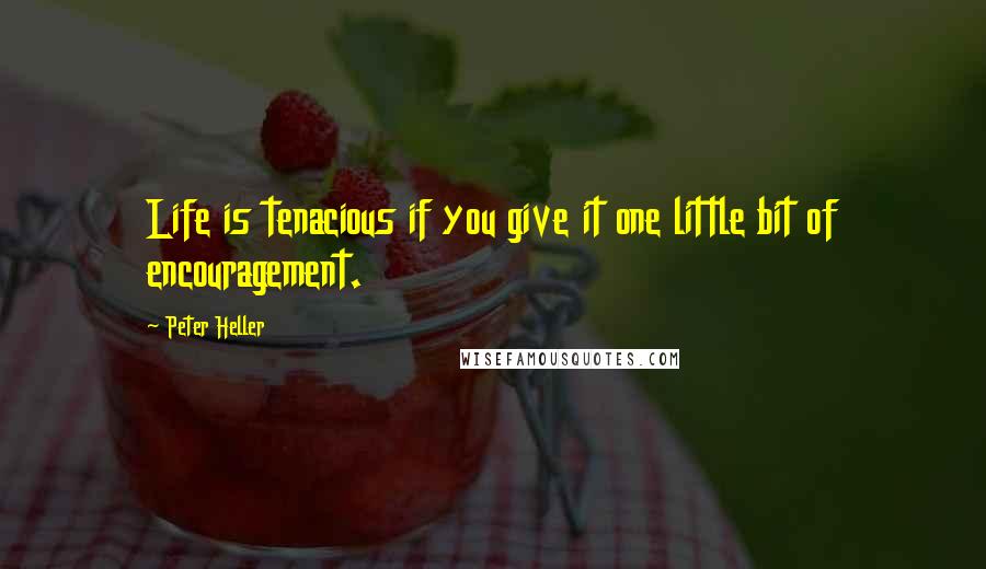 Peter Heller Quotes: Life is tenacious if you give it one little bit of encouragement.